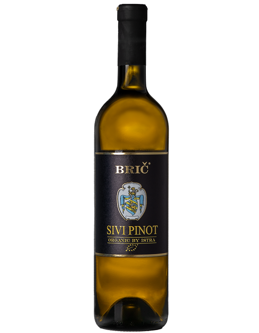 Sivi Pinot novi